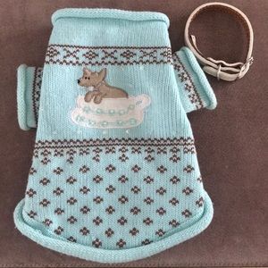Dog Sweater & collar
